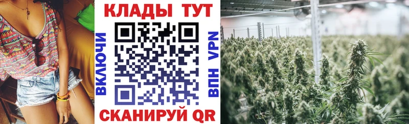 Бошки Шишки Шахты