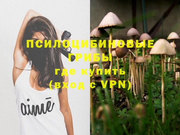 не бодяженный Касимов