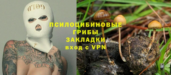 apvp Карпинск