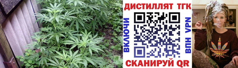 Дистиллят ТГК концентрат  Купить закладки  Шахты 