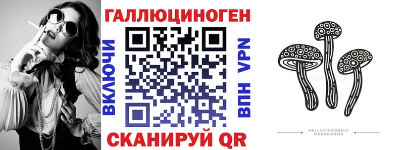 Купить где  Шахты  Галлюциногенные грибы Cubensis 